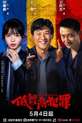 低智商犯罪——一生一世电影完整版